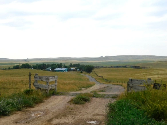 99F01B435B77A4031102BE