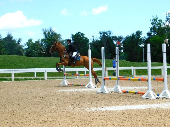 2367CB33597D17332A6BD0