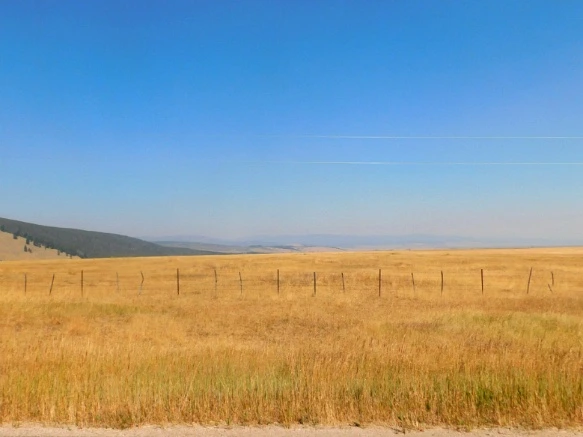 99A6A03359AB2BC71818F5