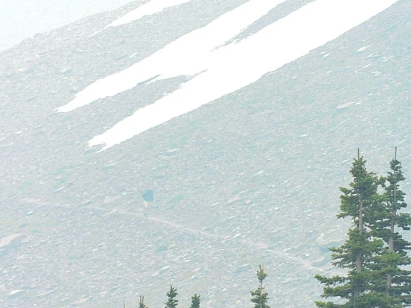 99DDA83D5B8A01EE2FD16D