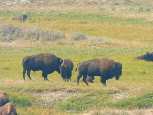 9946333359AF0FDA262FA0