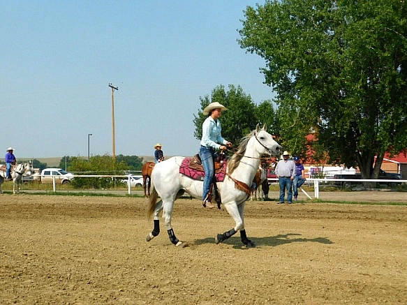 99F97D3F5B7A3706307B88