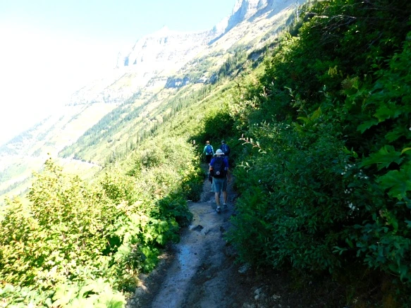 99660C3359A246B928B2F0