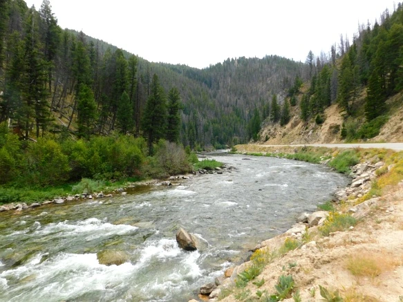 993A063359A9ECEE25F607