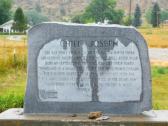 99BEF0465B8379ED2768F8