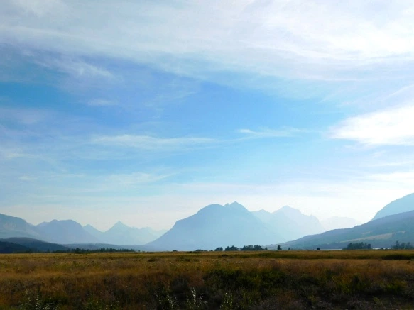 99C6333359A1038B2E6F8D