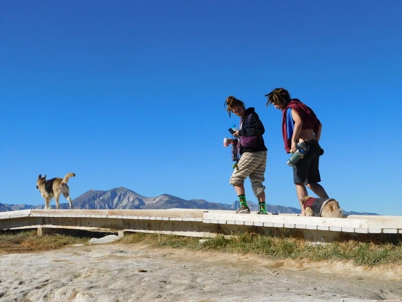 9913CA345BD4249745EE80