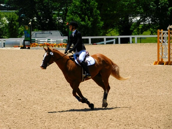 26934033597D193E2D6F80