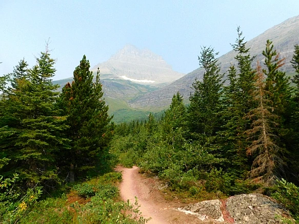 99FC47505B87517D0DA7EE