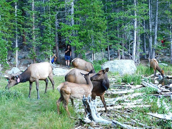 9983684A5B7268EF34ACCF