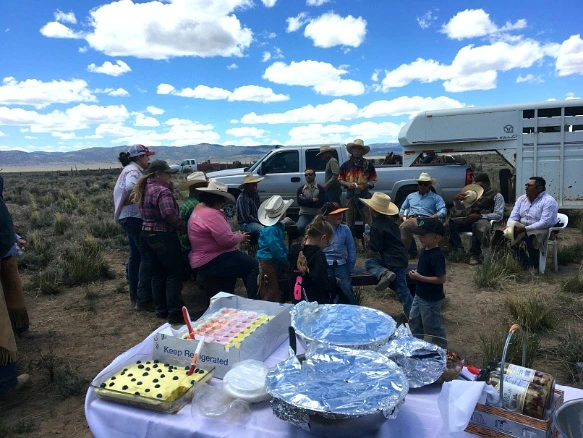 2569BA3E5936388F084FB0