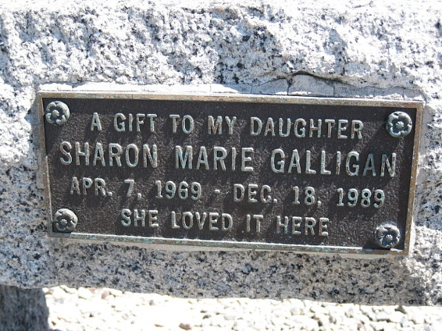 20588F2E4C82CC03292658