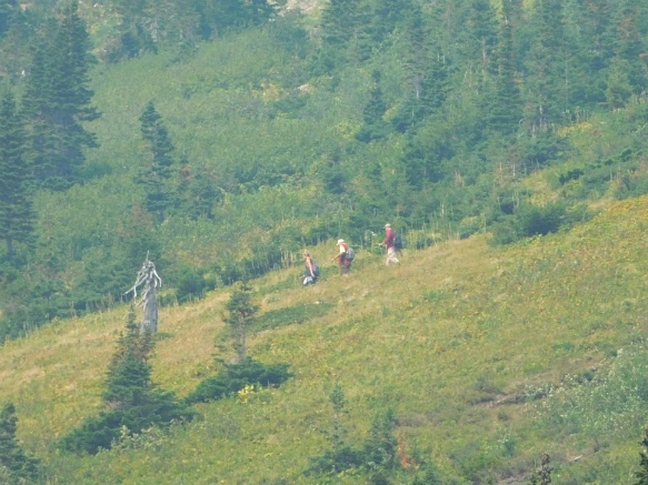 99191F4B5B87536501A263