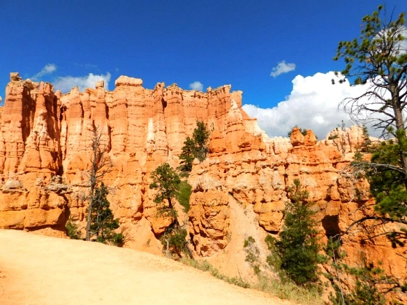 9955773359B87B091FEB09