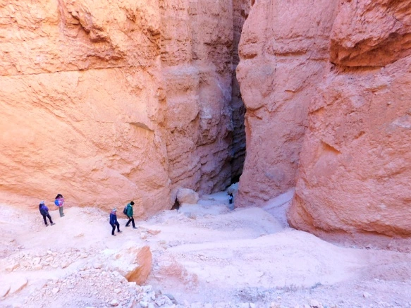 990467335A1A38943762BA