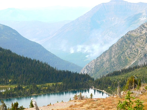 991AE5445B9F2E2B29A0FF