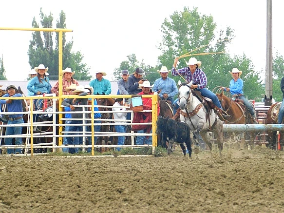 9948CF3E5B7F7EA40F6FC1