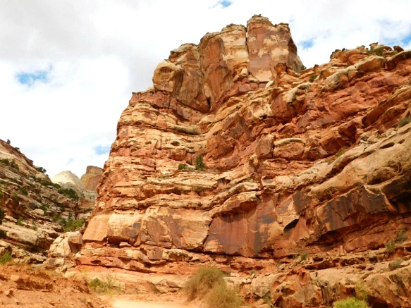 9950D14E5BC2B5440A0476