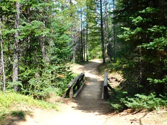 9988284D5B6E69AE103632