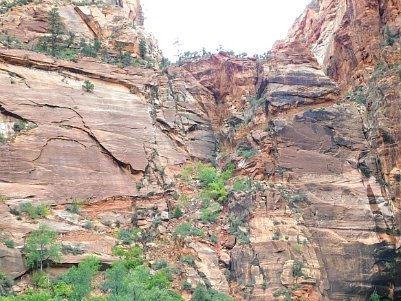 990F07505BC6953741CF15