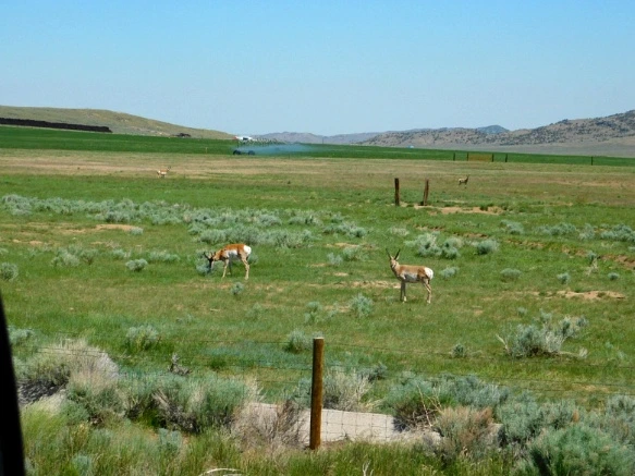 999D9D4C5B29F2243BD4E1