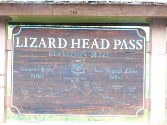 99C1833359BF46ED019178