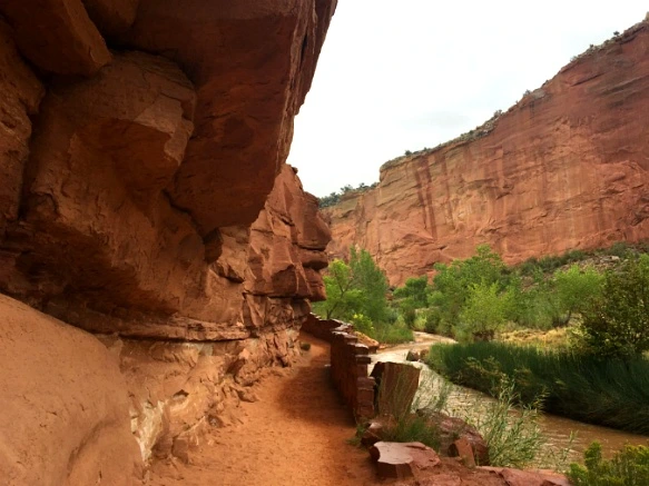 99333D3359B74FE236455E