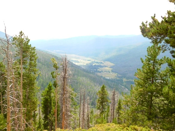 99D6EB475B6E6A2F11F505