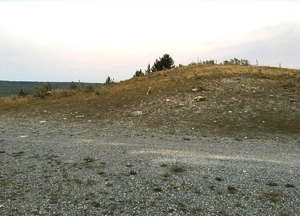 996B994F5B95EFCA1A28F9