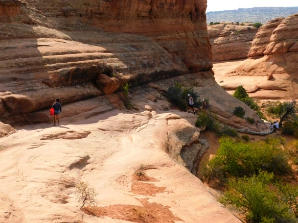 9952CF3359B31A5F14C166