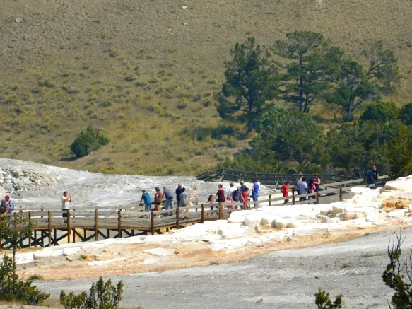 9984233359ADFAFC094669