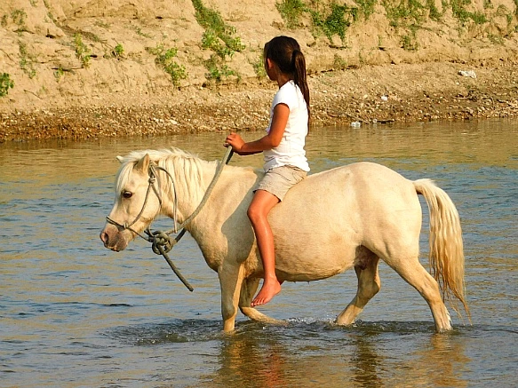 9960F13D5B7E43CC03CFBC