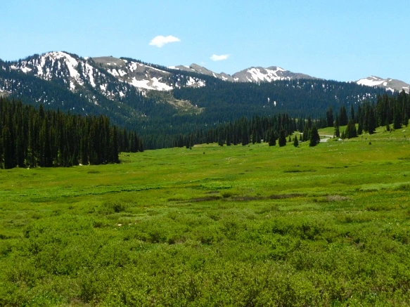 2416083D595C31C8282599