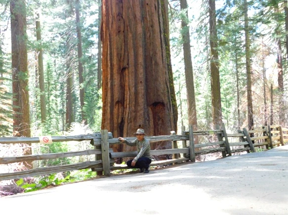 24199045577219462BBE49