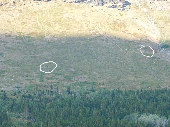 99110E485B8F333D039EB1