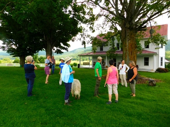 2347CF3D594C919B2EC45A