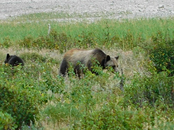 993BBC425B8F3461180112