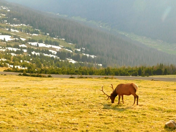 99C20F4C5B29EC971AAC25