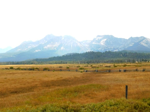 9917163359A9EBF0224F79