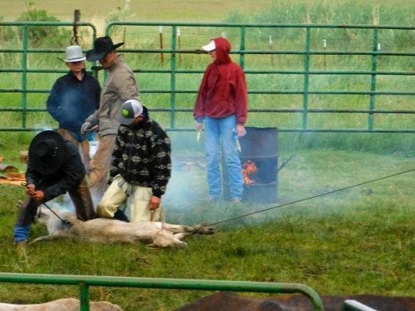 99F76D485B2DDE2919F17D