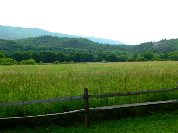 235A884D59501FFF28BAA3