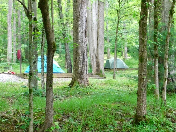 231B984859509A2B03FC07