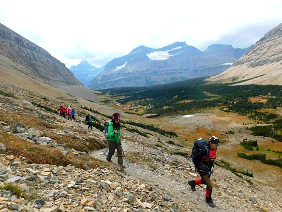 99CB2E485BA05B8A2A1DD7