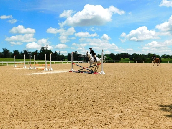 26300633597D172B2CFE8C