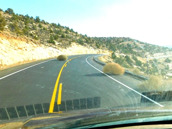 9938A6335A18DB6628C20A