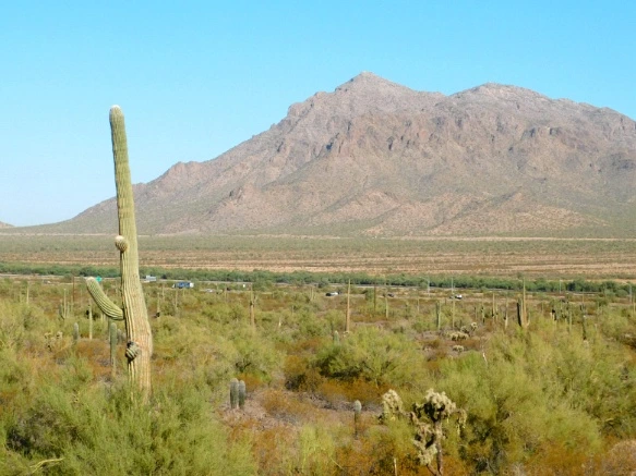 99AFB8335A28ADFA0D8C5B