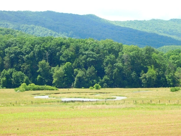 251B9243594C905E2E1098