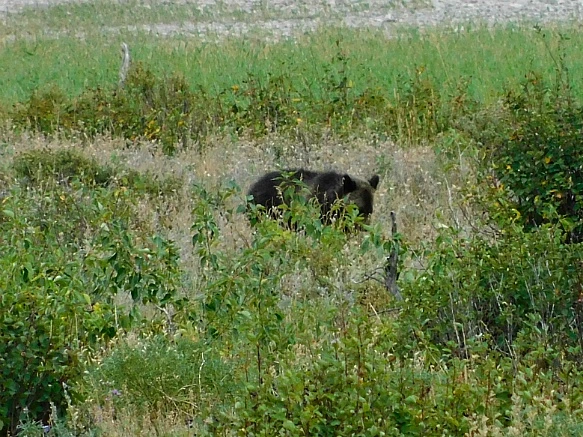 99EFF6425B8F34631DE737