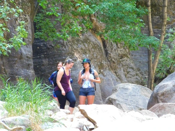 990B3D3359BB150103F867