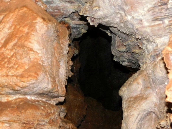 991BD0455B4405AA021818